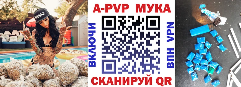 A PVP СК  Злынка 