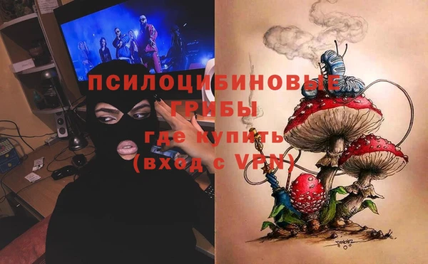 амф Аркадак