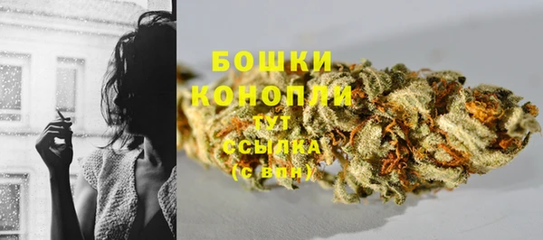 амф Аркадак