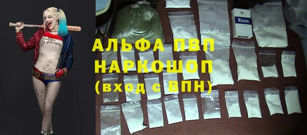 амф Аркадак