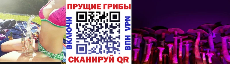 Галлюциногенные грибы Magic Shrooms  закладка  Злынка 